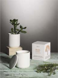Aery Living Nordic Cedar Fernweh Candles - thumbnail 5