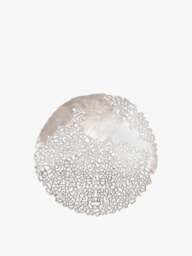 Libra Interiors Apo Coral Aluminium Wall Plaque in Silver, Size One