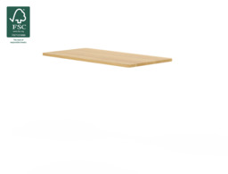 Basic Standing Desk with Desktop