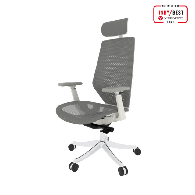 FlexiSpot BS11PRO Mesh Ergonomic Adjustable Office Chair ,Comfortable Computer Chair with Arms and Back Support for Study Office Gaming Works Grey