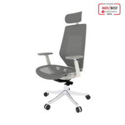 FlexiSpot BS11PRO Mesh Ergonomic Adjustable Office Chair ,Comfortable Computer Chair with Arms and Back Support for Study Office Gaming Works Grey