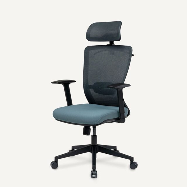 FlexiSpot BS3 Chair Ergonomic Office Chair Ergonomic Resilient Swivel Study Office Chair in Black with Arms and Back Support