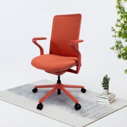 FlexiSpot BS13 Ergonomic Office Chair Home Chair with Arms and Back Support  for Study Works knitted mesh breathable fabric in Red