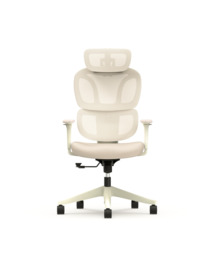 Colorful Ergonomic Chair with Cloud-like Cushion