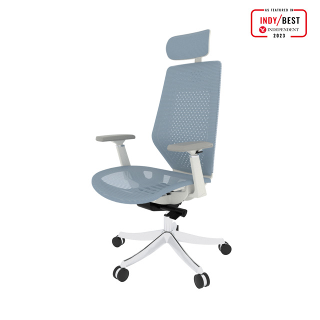 FlexiSpot BS11PRO Mesh Ergonomic Adjustable Office Chair ,Comfortable Computer Chair with Arms and Back Support Slove Back Pain Light Blue