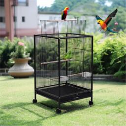 KIDKID PET Open Play Top Metal Pet Bird Cage with Casters