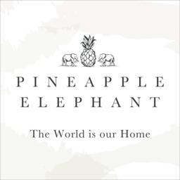 Pineapple Elephant Tamba Jersey Stripe Quilted Oxford Pillowcase Pair - thumbnail 4