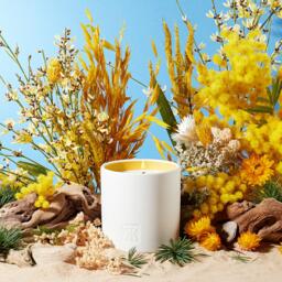 Maison Francis Kurkdjian Les Tamaris Candle - thumbnail 3