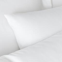 Bianca 180 TC Egyptian Cotton Standard Pillow case Pair - thumbnail 2