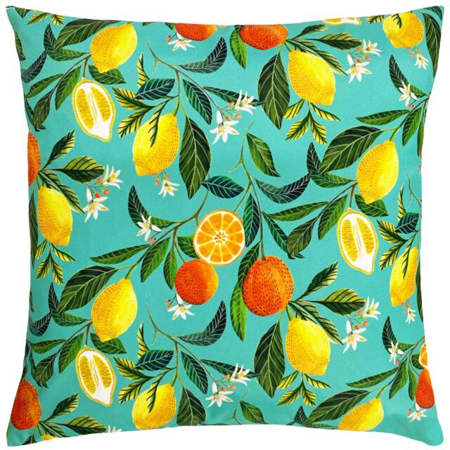 Evans Lichfield Orange Blossom Outdoor Cushion - image 1