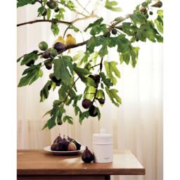 Jo Malone London Glowing Embers Ceramic Candle - thumbnail 4