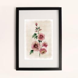 Laura Ashley Hollyhocks Flower Print in a Black Frame - thumbnail 1