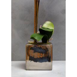 Fiori Aubergine Orchid Plant - thumbnail 2