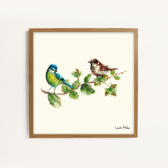 Laura Ashley Sparrow & Blue Tit Bird Print in a Wood Frame - image 1