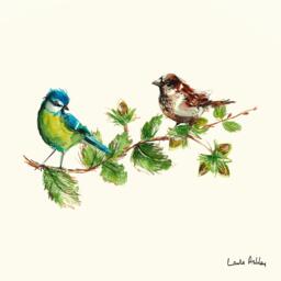 Laura Ashley Sparrow & Blue Tit Bird Print in a Wood Frame - thumbnail 3