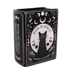 Something Different Black Cat Magick Book Shaped Flower Vase - thumbnail 2