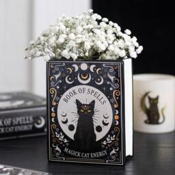 Something Different Black Cat Magick Book Shaped Flower Vase - thumbnail 1