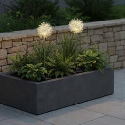 Streetwize Solar Dandelion Stake Lights - 2-Pack - thumbnail 1