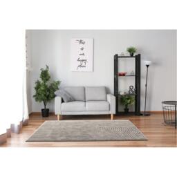 Arthouse Muse Zen Grey 120 x 170cm Rug