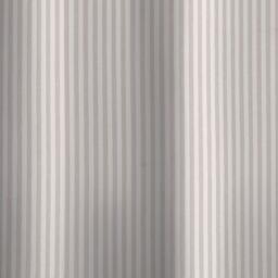 Catherine Lansfield Timeless Stripe Shower Curtain - thumbnail 3