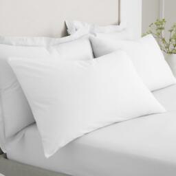 Bianca 200 TC Cotton Percale Standard Pillowcase Pair
