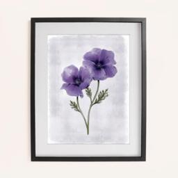 Laura Ashley Anemone Floral Print in a Black Frame