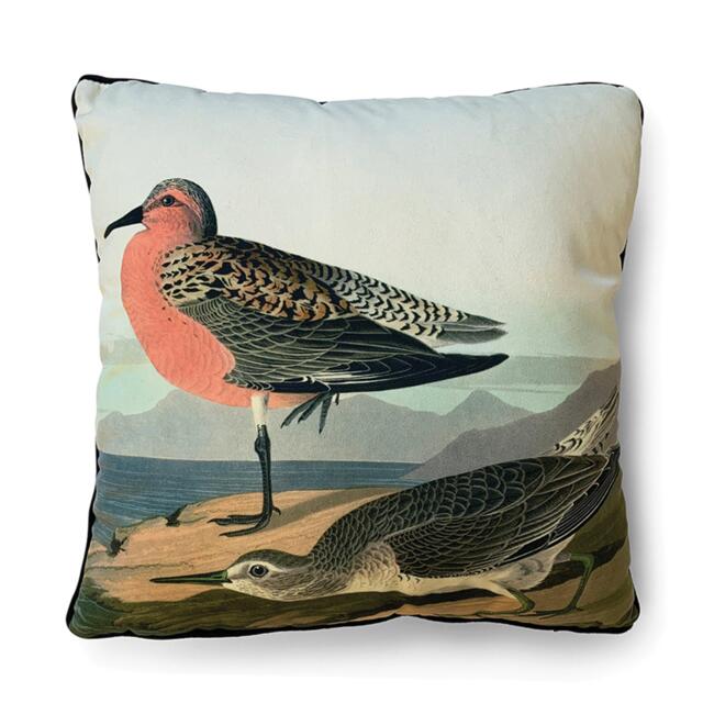 The Art Group John James Audubon Cushion - image 1