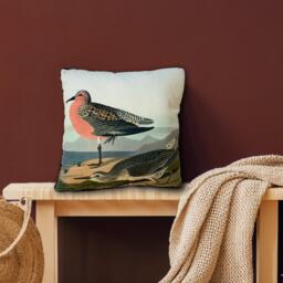 The Art Group John James Audubon Cushion - thumbnail 2