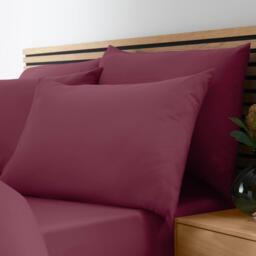 Catherine Lansfield So Soft Non-Iron Standard Pack of 4 Pillowcases - thumbnail 2
