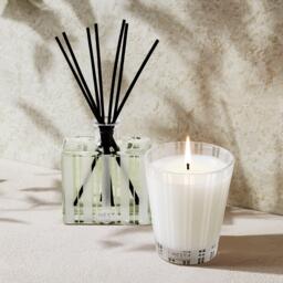 NEST New York Scented Candle - 230ml - thumbnail 4