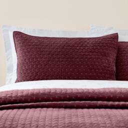 Bianca Attica Velvet Embroidered Pillow sham Pair