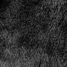 Furn Kallu Faux Fur Fibre Filled Cushion - thumbnail 5
