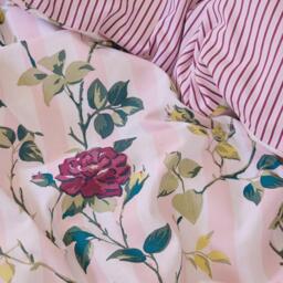 Cath Kidston Climbing Rose Stripe Cotton Duvet Cover Set - thumbnail 5