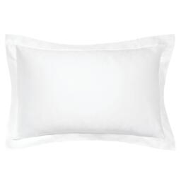 Bedeck of Belfast FINE LINENS 600TC PLAIN DYE STANDARD PILLOWCASE - thumbnail 1