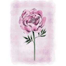 Laura Ashley Peony Floral Print in a Black Frame - thumbnail 3
