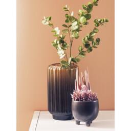 Fiori Mixed Succulents In Ceramic Pot - thumbnail 5