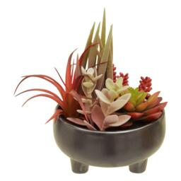 Fiori Mixed Succulents In Grey Ceramic Pot - thumbnail 3