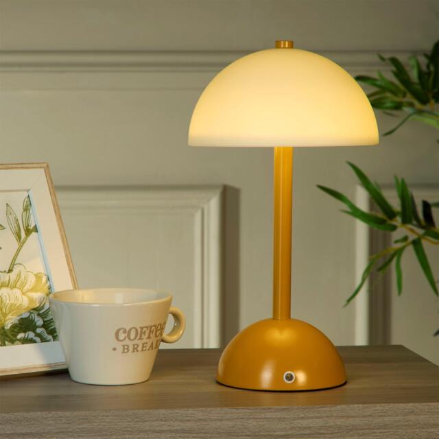 Lighting Collection Rechargeable Glass Shade Table Lamp - image 1