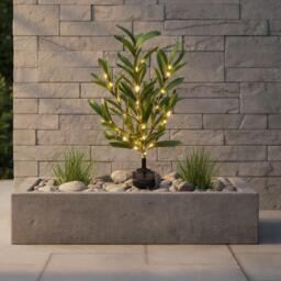 Streetwize Olive Tree Solar Lights - thumbnail 1