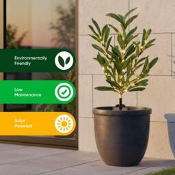 Streetwize Olive Tree Solar Lights - thumbnail 7