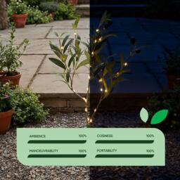 Streetwize Olive Tree Solar Lights - thumbnail 6