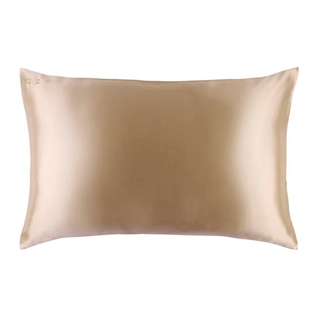 Slip Pure Silk Queen Pillowcase - image 1