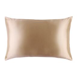 Slip Pure Silk Queen Pillowcase - thumbnail 1