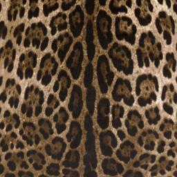 Dolce and Gabbana Casa Leopard Velvet 60x60cm Sofa Cushion - thumbnail 5
