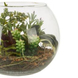 Fiori Large Glass Pot Mixed Succulent - thumbnail 3