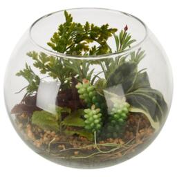 Fiori Large Glass Pot Mixed Succulent - thumbnail 2