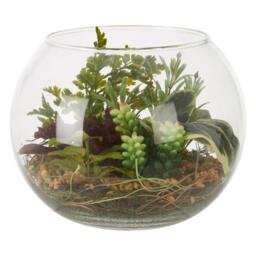 Fiori Large Glass Pot Mixed Succulent - thumbnail 1