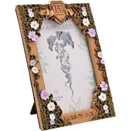 Harry Potter Harry Potter Herbology Frame - thumbnail 3