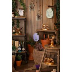 Harry Potter Harry Potter Herbology Frame - thumbnail 5