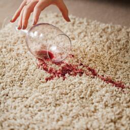 Origin Rugs Buddy Rug - thumbnail 4